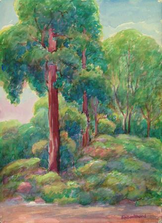 COOL OF EARLY MORNING