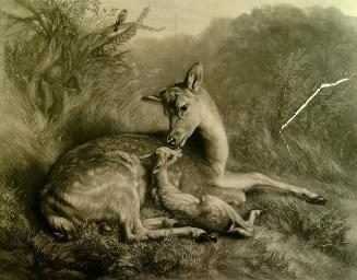 Archive 4Mar2002 Disk#1