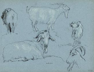 Archive 8Nov2001 Disk#2