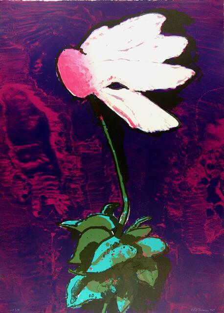 Archive 4Feb2002 Disk #1