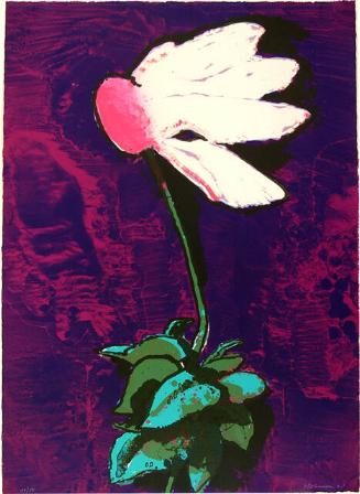 Archive 28Nov2001 Disk#2