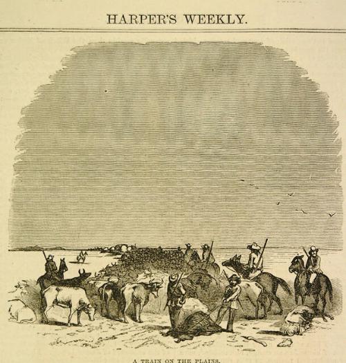 Archive 20Nov2001 Disk#1