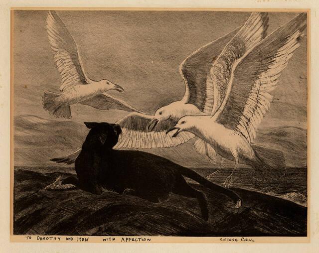 Archive 8Mar2002 Disk#1