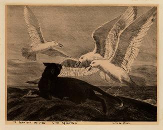 Archive 8Mar2002 Disk#1