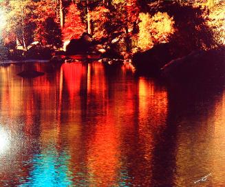 Archive 11Mar2002 Disk #1