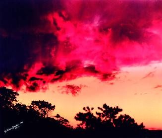 Archive 2May2003 Disk#1