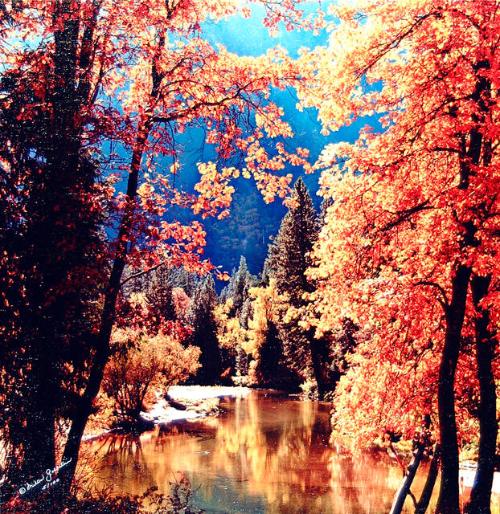 Archive 22Mar2002 Disk#1