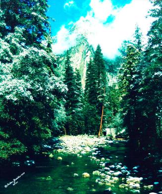 Archive 22Mar2002 Disk#1