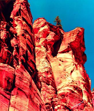 Archive 22Mar2002 Disk#1