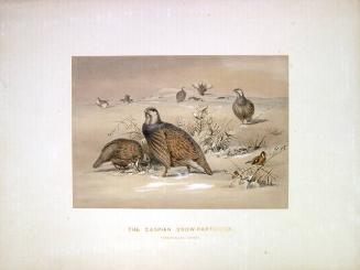 Archive 24May2001 Disk#4