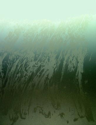 Archive 20Nov2001 Disk#1