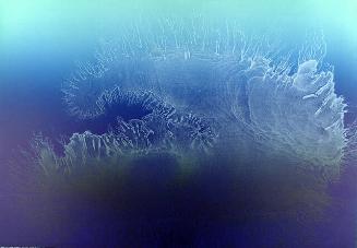 Archive 20Nov2001 Disk#1