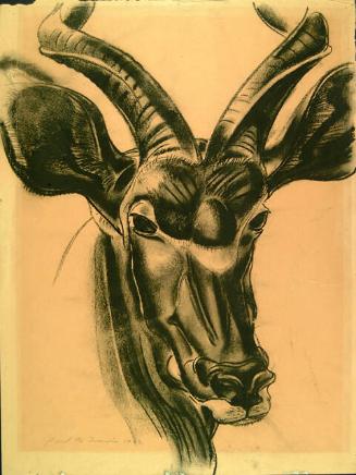 Archive 20Nov2001 Disk#2