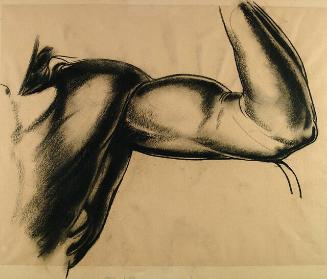 Archive 20Nov2001 Disk#2