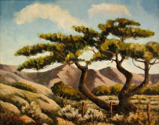 Archive 8Nov2002 Disk#2