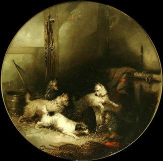 Archive 6Nov2002 Disk#1