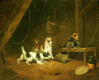 Archive 6Nov2002 Disk#1